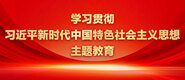 基霸曹比视频学习贯彻习近平新时代中国特色社会主义思想主题教育_fororder_ad-371X160(2)